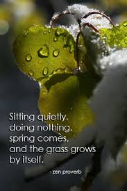 sitting quietly grass grows